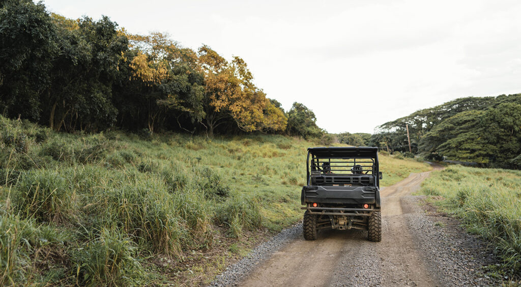 Comparing Honda vs. Yamaha ATVs for Hunting Season